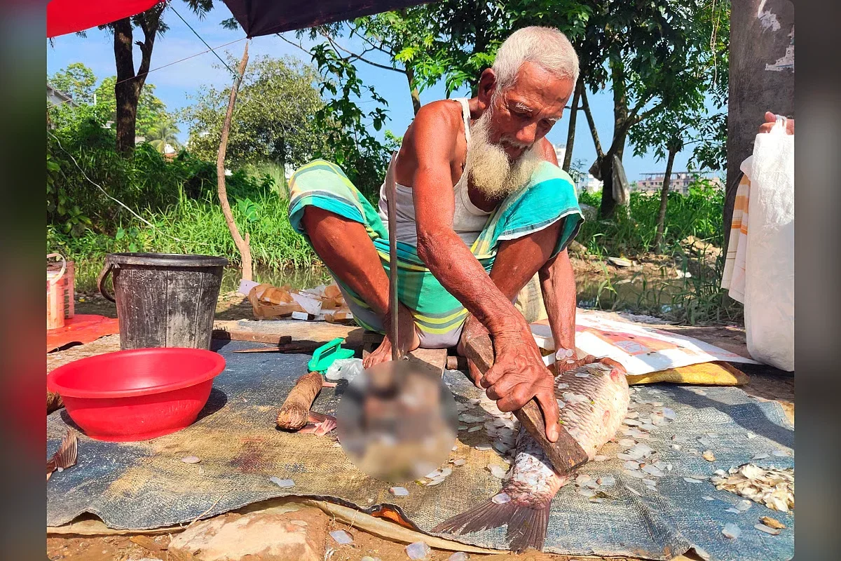 বয়স ৯৮ পেরিয়েছে, তবু প্রতিদিন মাছ কেটে সংসার চালান নিয়ামত