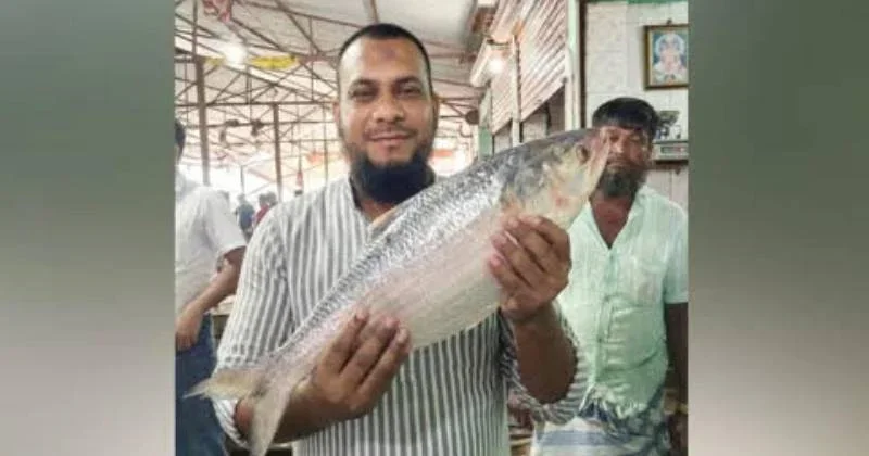 হাতিয়ায় ৩ কেজি ৭০০ গ্রাম ইলিশ বিক্রি হলো ১০ হাজার ৯০০ টাকায়