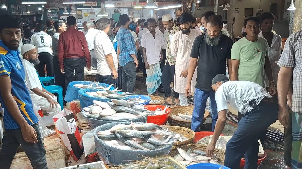 নিষেধাজ্ঞার আগেই চাঁদপুরে চড়া ইলিশের দাম, ক্ষুব্ধ ক্রেতারা