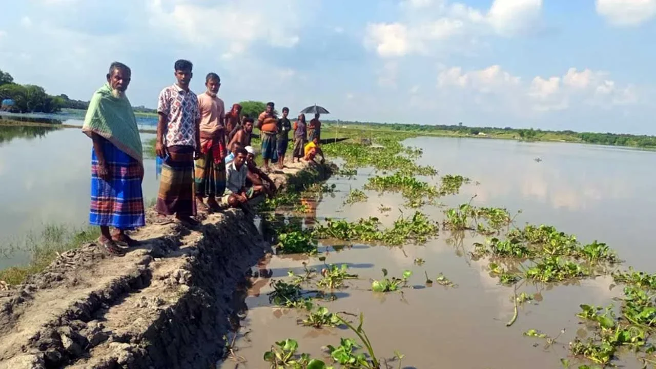 কপোতাক্ষের বেড়িবাঁধে নতুন ফাটল, আতঙ্কে চার গ্রামের কয়েক হাজার মানুষ