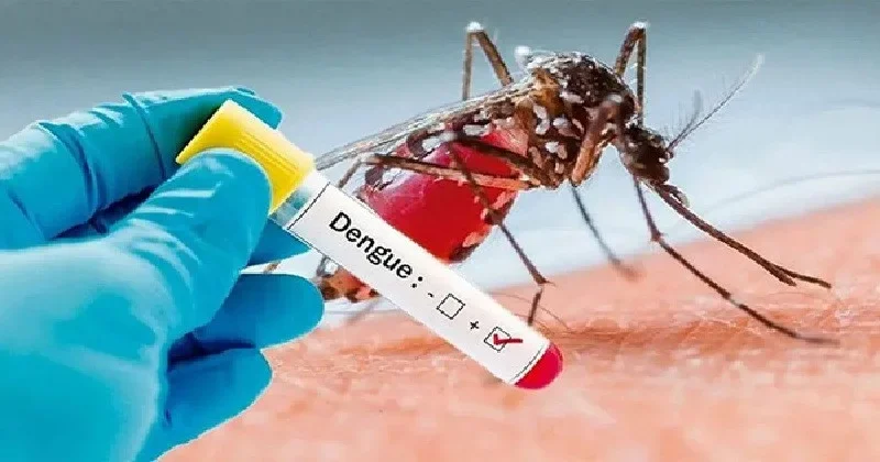 দেশে ডেঙ্গুতে আক্রান্ত লাখ ছাড়াল, ২৪ ঘণ্টায় শনাক্ত ২১৬৭ জন, মৃত্যু ৪