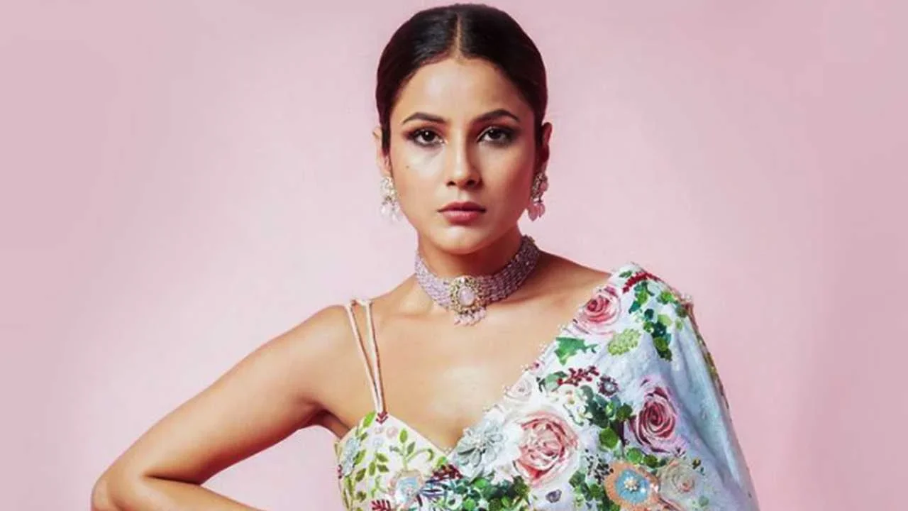সহ-অভিনেতা নিরাপত্তাহীনতায় ভুগলে দূরে থাকেন শাহনাজ গিল