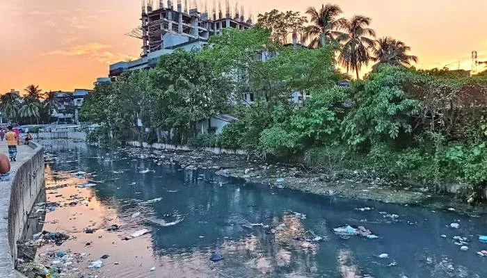 খাল খনন করে শুধু জলাবদ্ধতা নয়, আয়বর্ধক কর্মকাণ্ডে ব্যবহারের আহ্বান