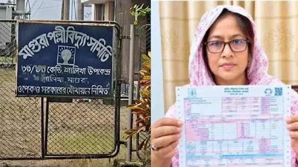 মাগুরায় ৫০৬ কোটি টাকার বিদ্যুৎ বিল, ৪ কর্মকর্তার বিরুদ্ধে ব্যবস্থা