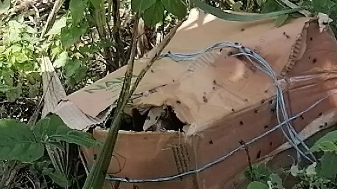 মধুখালীতে তিন কার্টনে ৬ টুকরা অজ্ঞাত ব্যক্তির লাশ উদ্ধার