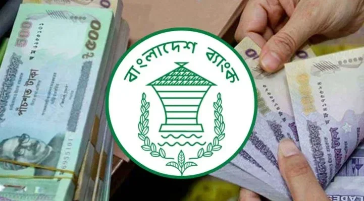 তরুণ উদ্যোক্তাদের ২০ লাখ টাকা দেবে বাংলাদেশ ব্যাংক, আবেদন শুরু আজ